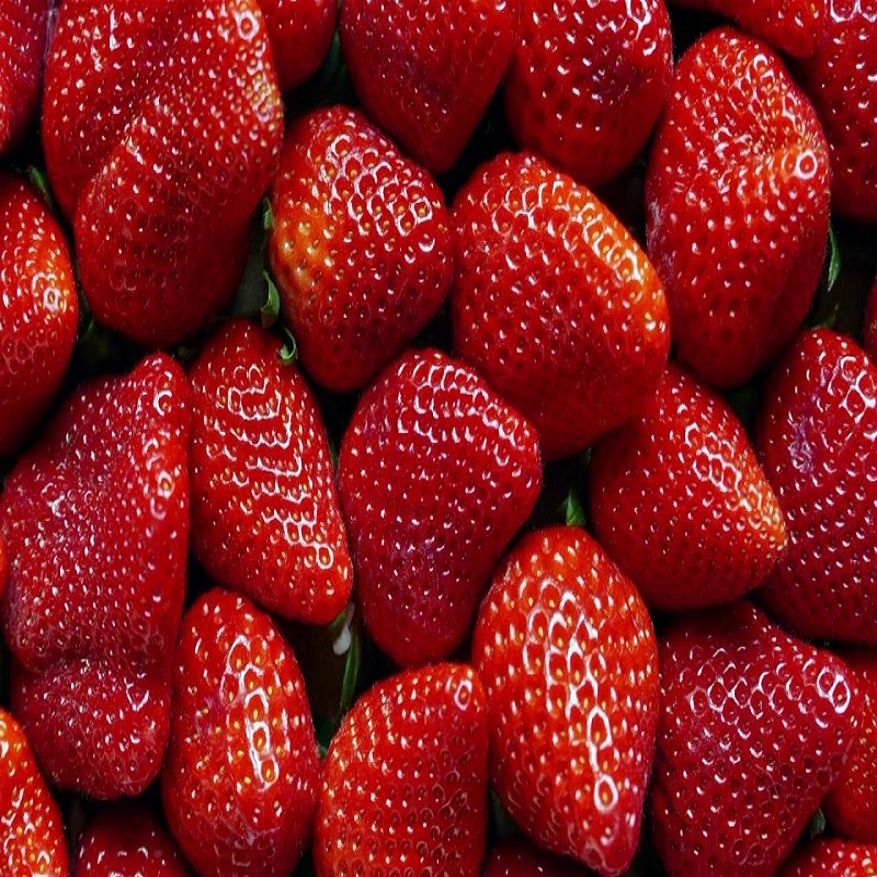 how-to-remove-bugs-from-strawberries-with-salt-water
